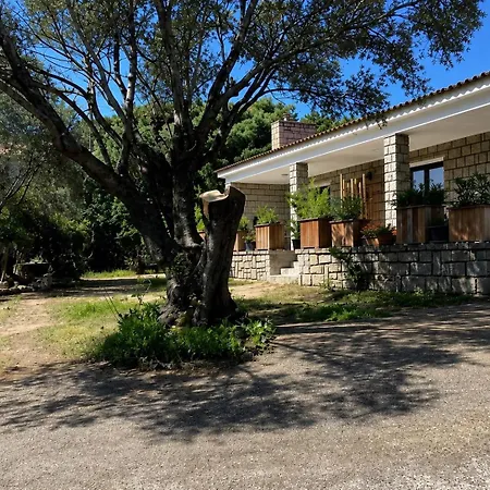 Vue A 5 Minutes A Pied Du Centre Ville, Parking Prive * Porto-Vecchio (Corsica)
